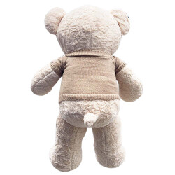 Ayı 99-A17/100 SM - 