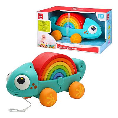 Hola Göy Qurbağa Montessori Oyuncağı 18 Ay – 5 Yaş (795-10) - 1
