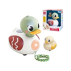 Hola Ördək Ailəsi (577-3) - 