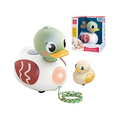 Hola Ördək Ailəsi (577-3) - 1