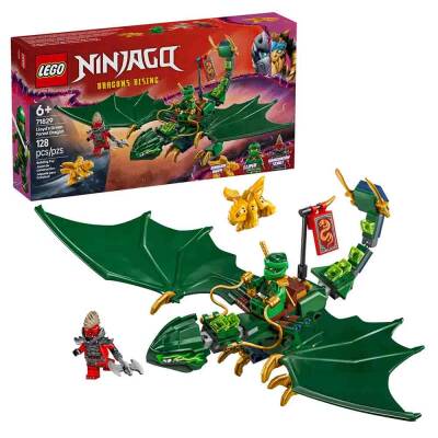 Lego Dragon 71829 ORG - 1