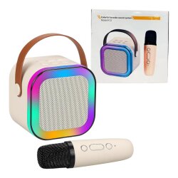 Mikrafon və Səs Ucaldıcı (378-2) - 