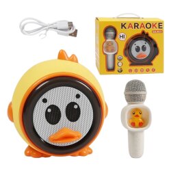 Mikrofon və Səs Ucaldıcı (424-10) - 