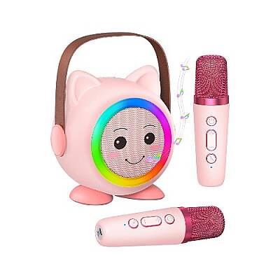 Mikrofon və Səs Ucaldıcı (684-1) - 1