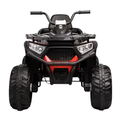 Park maşını kvadrosikl BH007 491-1 - 6