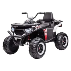 Park maşını kvadrosikl BH007 491-1 - 2