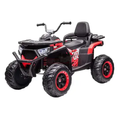 Park maşını kvadrosikl BH007 491-1 - 1