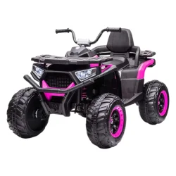 Park maşını kvadrosikl BH007 491-1 - 3