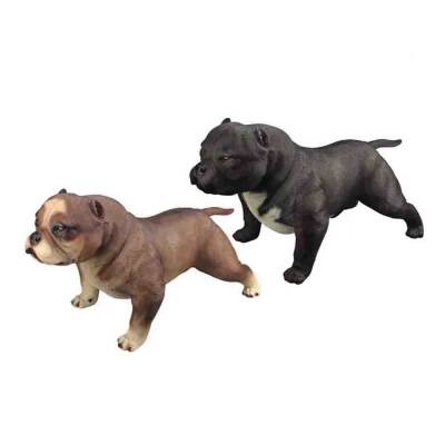 Pitbull Q9899-889 (366-15) - 1