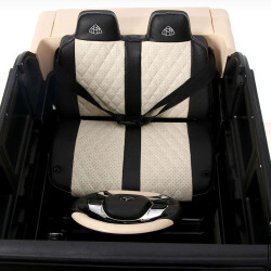 P.M GALIK MAYBACH A100-2 (33-21) - 4