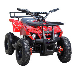 P.M KVADRACIKL YT-66E/134-21 - 