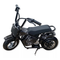 P.M MOTO 24V12A (138-6) - 