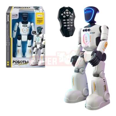 Pultlu Robot (578-1) - 1