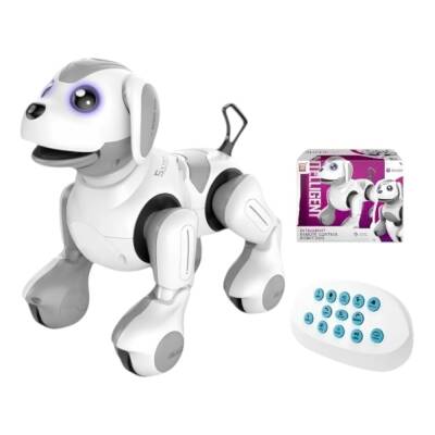 Pultlu Robot İt (68-4) - 1