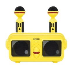 Qoşa mikrofon SD-304 (135-19) - 