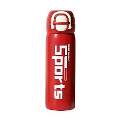 Sport Dizaynlı Termos 600 ml (613-9) - 