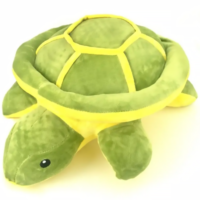 Tısbağa 216-C19 - 1