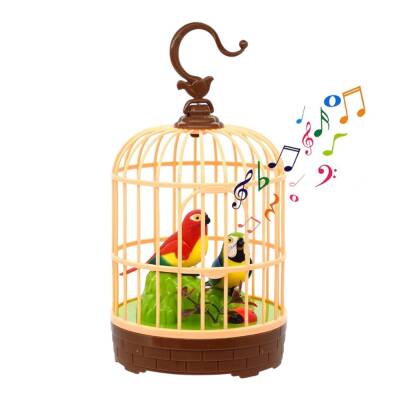 Tutuquşu Musiqili Oyuncaq (365-5) - 1