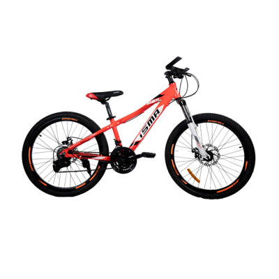 Velosiped Isma Lucky 24 düym - 1