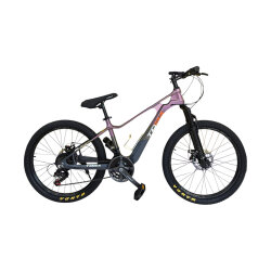Velosiped Toba 24* GTR-985 Çəhrayı 