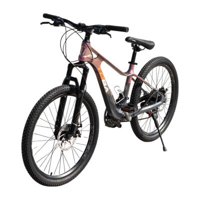 Velosiped Toba 24* GTR-985 Çəhrayı - 3