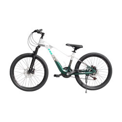 Velosiped Toba 24* GTR-985 Yaşıl-Gümüşü - 2