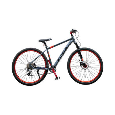 Velosiped Toba Monster 1-29* Tund Boz - 1
