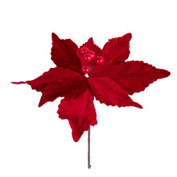 Yeni iI yolka çiçəyi CC 400-43 - 