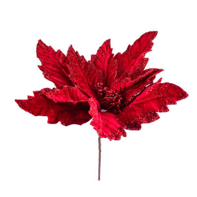 Yeni il yolka çiçəyi CC 400-44 - 1