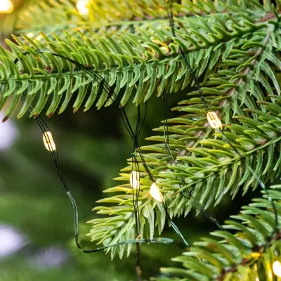 Yeni il yolka işıqı sarı 30M/300L CC 405-31 - 1