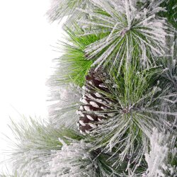 Yolka 2.7 m YY 701-13 - 2