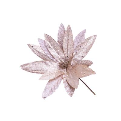 Yolka Çiçəyi 400-26 - 1