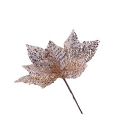 Yolka Çiçəyi 400-27 - 