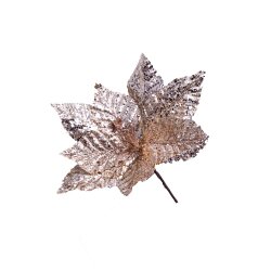 Yolka Çiçəyi 400-27 - 2