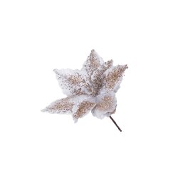 Yolka Çiçəyi 400-28 - 