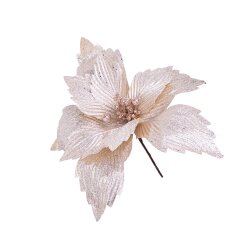 Yolka Çiçəyi 400-42 - 