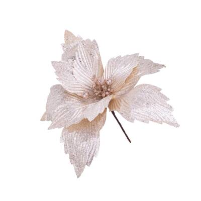 Yolka Çiçəyi 400-42 - 1