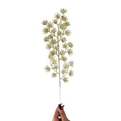 Yolka Çiçəyi 415-34 - 