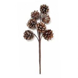 Yolka Çiçəyi 9127-10 - 