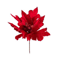 Yolka çiçəyi CC 400-50 - 