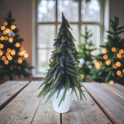 Yolka Dibçək 45SM BB 267-6/ST09-T081C-1 - 1