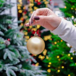 Yolka Şarı 225-10 - 4