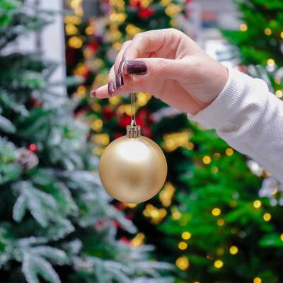 Yolka Şarı 225-11 - 2