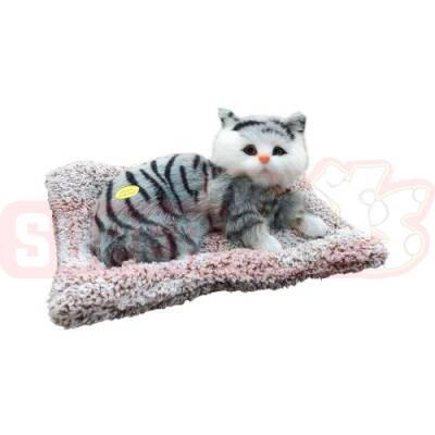 Yumşaq Yatmış Pişik Səsli (387-264) - 1