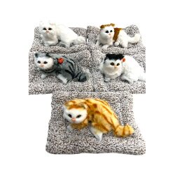 Yumşaq Yatmış Pişik Səsli (387-264) - 4