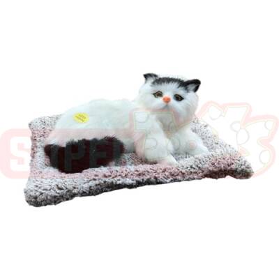 Yumşaq Yatmış Pişik Səsli (387-264) - 2