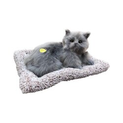 Yumşaq Yatmış Pişik Səsli (387-264) - 3