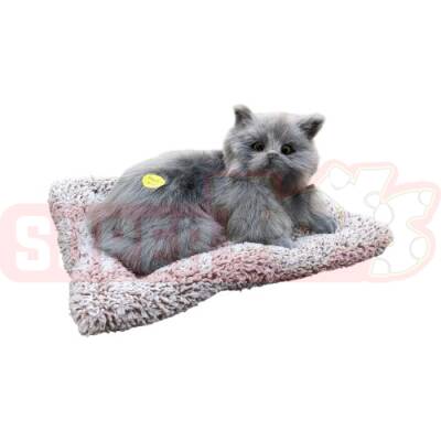 Yumşaq Yatmış Pişik Səsli (387-264) - 3